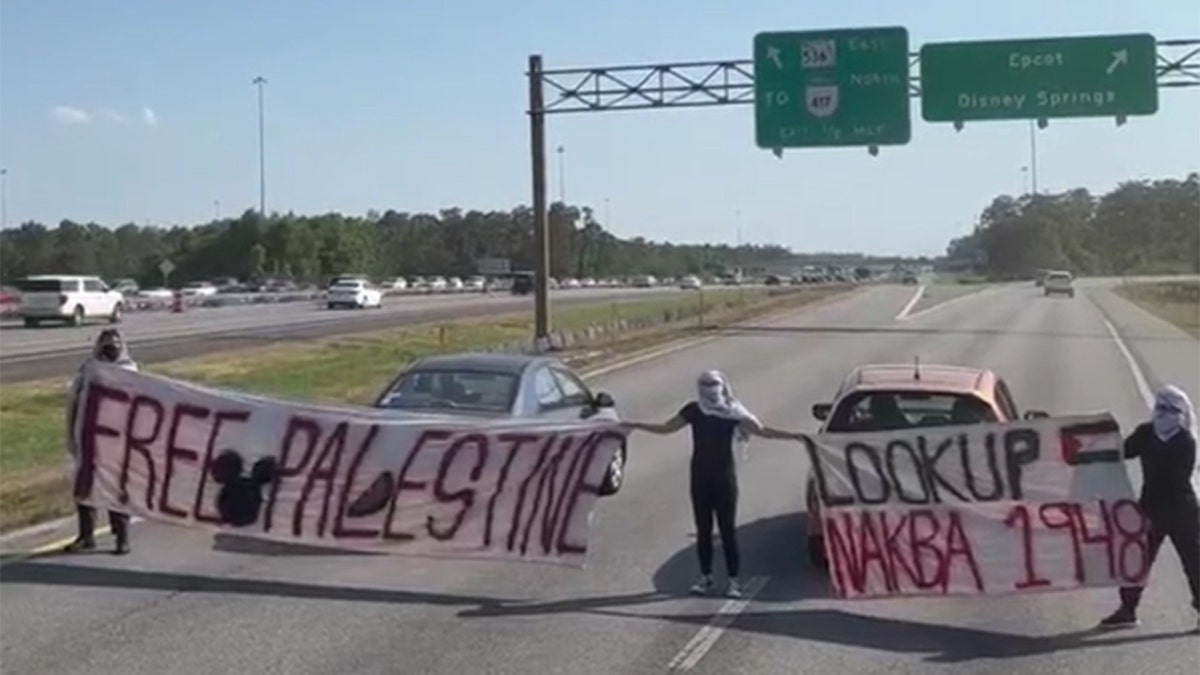 Manifestants anti-israéliens en Floride