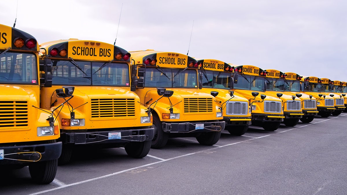 Des autobus scolaires alignés sur un parking