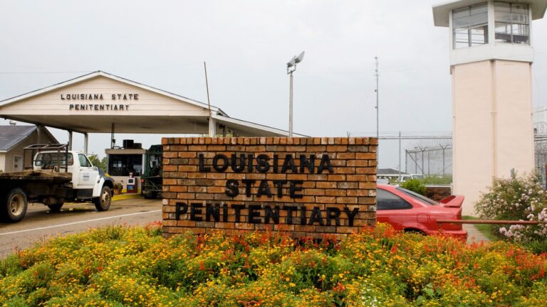 Un projet de loi de Louisiane visant à castrer les délinquants sexuels se dirige vers le bureau du gouverneur