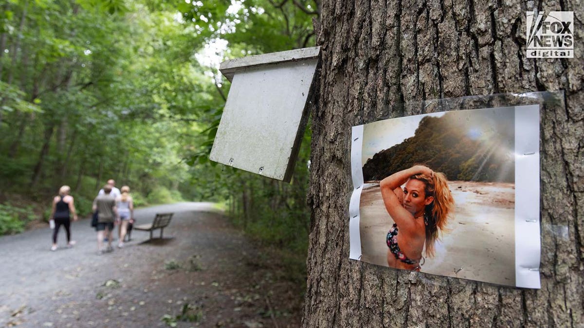 Une photo de Rachel Morin est affichée sur un arbre le long d'un sentier de randonnée