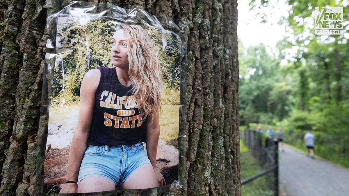 Une photo de Rachel Morin est affichée sur un arbre le long d'un sentier de randonnée