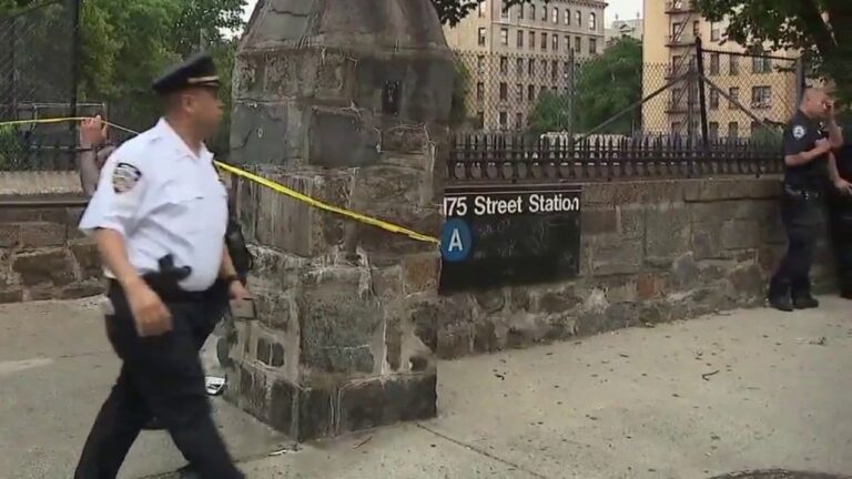 Un New-Yorkais poignardé à mort dans la station de métro de Manhattan